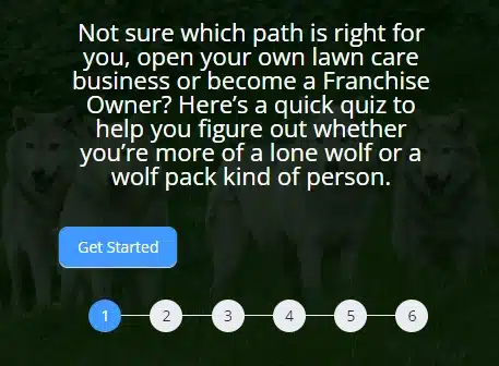 lawn care business or lawn care franchise