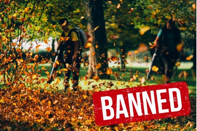 How to Ban Leaf Blowers & Why Now is the Best Time to Own a Clean Air Lawn Care Franchise