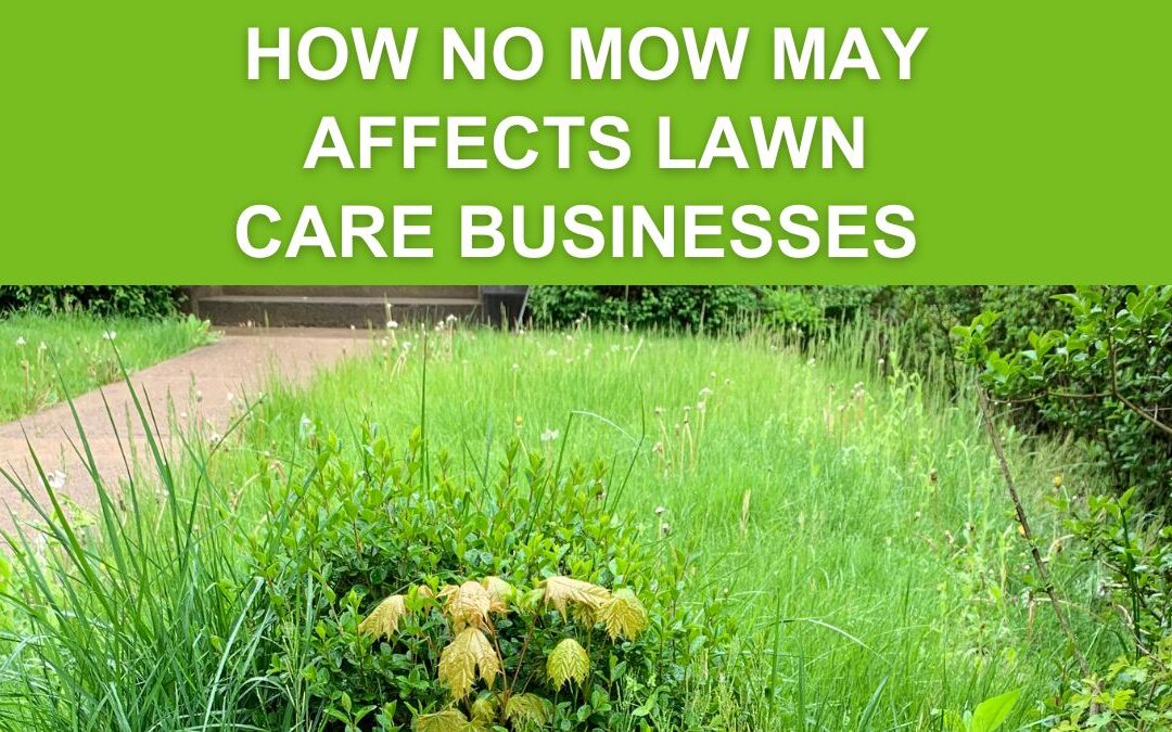 How to Start a Lawn Mowing Business that Aligns with Modern Consumer Trends