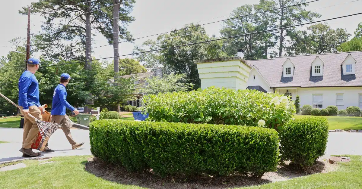 Eco-Friendly Home Service Franchise Low-Investment Opportunity